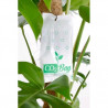 More CO₂ for plants – CO2Bag XL for larger crops