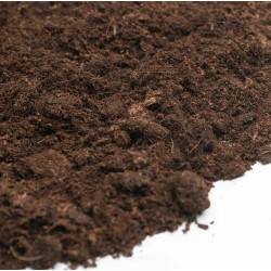 Bio Terra Plus 25L – Bio-Blumenerde von BioCanna