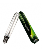 HPS MH Lamps