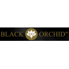 Black Orchid
